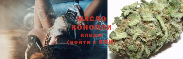 гидра Алзамай