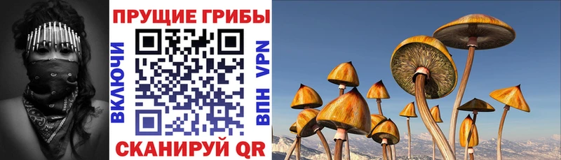 Галлюциногенные грибы мухоморы  Красавино 